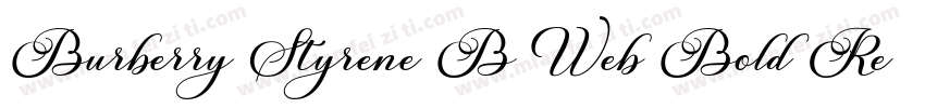 Burberry Styrene B Web Bold Regular字体转换